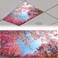 Patelai 4x2 Feet Light Covers for Classroom, Magnetic,Spring Forest