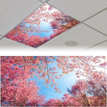 Patelai 4x2 Feet Light Covers for Classroom, Magnetic,Spring Forest