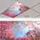 Patelai 4x2 Feet Light Covers for Classroom, Magnetic,Spring Forest