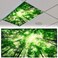 Patelai 4x2 Feet Light Covers for Classroom, Magnetic,Forest