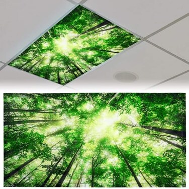 Patelai 4x2 Feet Light Covers for Classroom, Magnetic,Forest
