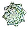 Mougee Mini Star Flow Star - 20" Diameter - Smaller Size for Smaller Hands and Easier Spinning (Frogspin