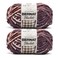 Bernat Blanket Yarn Super Bulky Soft Chenille Yarn Plum Preserves 2-Pack