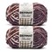 Bernat Blanket Yarn Super Bulky Soft Chenille Yarn Plum Preserves 2-Pack