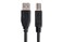 Hosa USB-203AB - 3 Feet