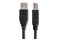 Hosa USB-203AB - 3 Feet