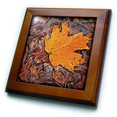 3dRose Autumn Leaf 8x8 Framed Tile