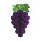 Beistle Tissue Grape Cluster Party Accessory (1 count(1/Pkg