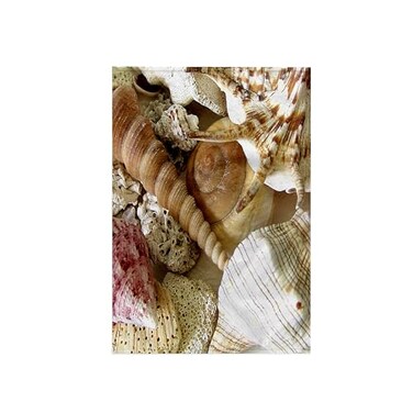 3dRose 15x22 Hand Towel - Florida Keys Seashells Shells