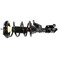 Monroe 172144 Suspension Strut and Coil Spring Assembly