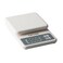 Taylor Compact Digital Scale (White, 11 pound capacity