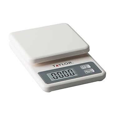 Taylor Compact Digital Scale (White, 11 pound capacity