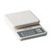 Taylor Compact Digital Scale (White, 11 pound capacity