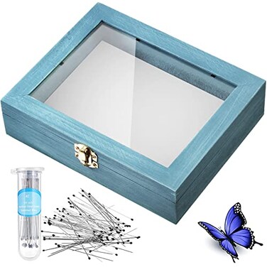 Willbond Insect Display Case Bug Box with Clear Lid, Blue
