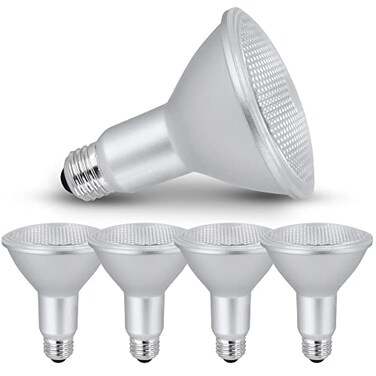 Xtricity PAR 30 led Light Bulbs Dimmable Long Neck Bulb (6 Pack