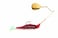 Strike King Redfish Magic Saltwater Spinnerbait, Blue Crab/Red Head