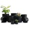 D'vine Dev 10-Pack Plastic Pots with Saucers, 2-6.5 in, Black, 74-S-B