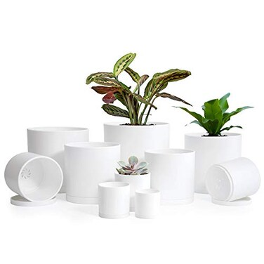 D'vine Dev 10-Pack Plastic Pots with Saucers, 2-6.5 in, White, 74-S-A