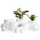D'vine Dev 10-Pack Plastic Pots with Saucers, 2-6.5 in, White, 74-S-A