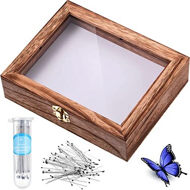 Willbond Insect Display Case Bug Box with Clear Lid, Carbonized Black