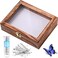Willbond Insect Display Case Bug Box with Clear Lid, Carbonized Black