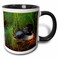 3dRose Minnesota, Common Loon Bird, Leech Lake 11oz Two-Tone Black Mug