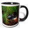 3dRose Minnesota, Common Loon Bird, Leech Lake 11oz Two-Tone Black Mug