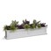Mayne Fairfield 60in Self-Watering Rectangular Window Box Planter, White