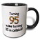 3dRose Turning 95 is like 35 in celsius - humorous 11oz Two-Tone Black Mug