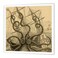 3dRose Gigantic Colossal Octopus 10x10 Iron on Heat Transfer for White Material