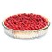 TRBIDRBO 10 Inch - Glass Pie Plates Deep Pie Pans for Baking and Serving, Clear