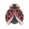 Mill Hill Ladybug Hug Beaded Counted Cross Stitch Kit 2015 Spring Bouquet MH185103