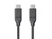 Monoprice Essentials USB-C to USB-C 2.0 Cable - 480Mbps, 5A, 26AWG, 4m (13.1 ftBlack