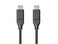 Monoprice Essentials USB-C to USB-C 2.0 Cable - 480Mbps, 5A, 26AWG, 4m (13.1 ftBlack