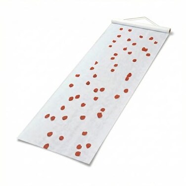 Amscan Elegant White Wedding Aisle Runner - 100 ft x 36" (1 CountPerfect for CeremoniesEvents
