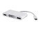 Monoprice USB-C to HDMI Adapter - Mirror Display Resolutions Up To 4K @30Hz, White - Select Series