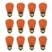 Xtricity Incandescent S14 Edison Light Bulb, String Light Replacement, E26 Medium Base, 130V, Amber (12 Pack