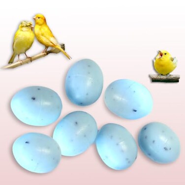 DummyEggs for Canary. Replace Laid Eggs with Plastic, Tricks Your Bird Everytime! 3/4 inch x 5/8" (18.5 x 15mm7 Safe Plastic Reproductions
