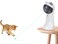 TBTeek Automatic Cat Toy Green Light, 5 Fun Patterns, 4 Speed Modes
