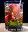 Clscea CO2 Diffuser for Aquarium Plant Mini CO2 Atomizer, U-shaped-s