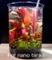 Clscea CO2 Diffuser for Aquarium Plant Mini CO2 Atomizer, U-shaped-s