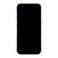 Tech21 Evo Sparkle Case for Iphone 16 Pro, Magsafe Compatible, Clear/Silver