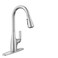 Moen Leesi Stainless Pulldown Kitchen Sink Faucet with Power Boost, Transitional Kitchen Faucet, One-Handle Single Hole High Arc, Easy Installation, Spot Resist Finish, 87448SRS