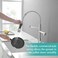 Aimadi Chrome Kitchen Faucet with Pull Down Sprayer, Dual Spout Design