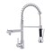 Aimadi Chrome Kitchen Faucet with Pull Down Sprayer, Dual Spout Design