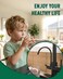 Fapully Matte Black Pull-Down Kitchen Faucets and Drinking Water Faucet