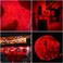 Wayllshine 2 Pack Red Light Flashlight Single Mode Red LED Flashlight One Mode Zoomable Night Light Torch for Night Observation and Astronomy Aviation