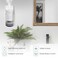 Shammgria 2026 Plug-in Essential Oil Diffuser Waterless Scent Diffuser, Smart Wall Diffuser for Home, Office, &amp; Spa, Covers up to 500 Sq. Ft, 160ML Capacity, Portable Aromatherapy Aroma Diffuser