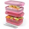 Ello Lunch Stack Bento Box, 2-Pack Guava One Size