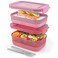 Ello Lunch Stack Bento Box, 2-Pack Guava One Size